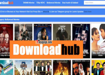 Downloadhub 2023 480p, 720p, 1080p, 4K: Download 300MB Telugu, Tamil Hindi Dubbed