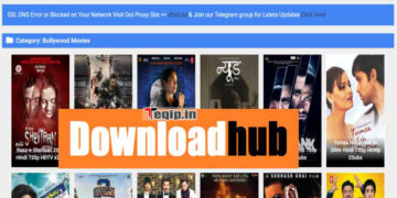 Downloadhub 2023 480p, 720p, 1080p, 4K: Download 300MB Telugu, Tamil Hindi Dubbed