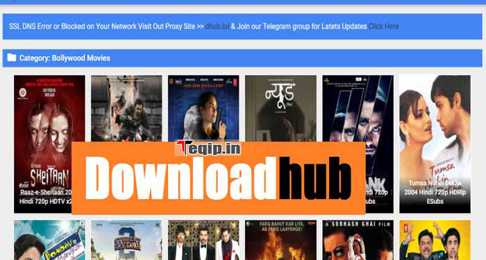 Downloadhub 2023 480p, 720p, 1080p, 4K: Download 300MB Telugu, Tamil Hindi Dubbed