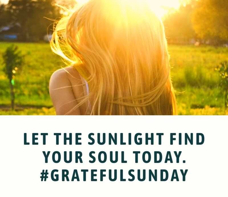 Let the sunlight find your soul today. #GratefulSunday