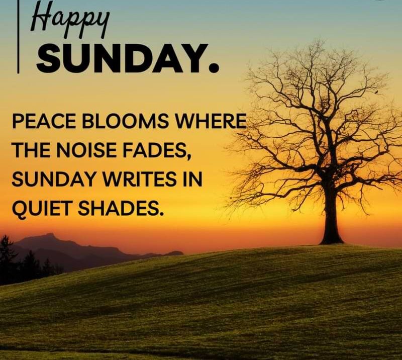 Peace blooms where the noise fades, Sunday writes in quiet shades.