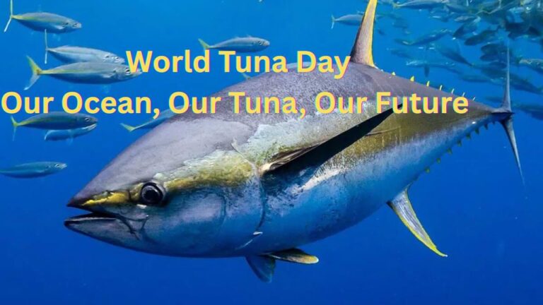 World Tuna Day 2025: History, Theme, Messages, Quotes & Captions 🌊