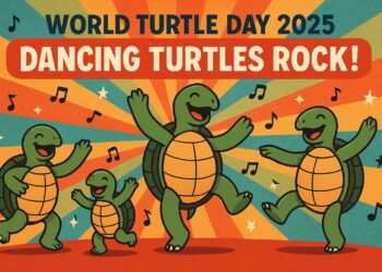 World Turtle Day 2025: Celebrating with the Theme “Dancing Turtles Rock!”