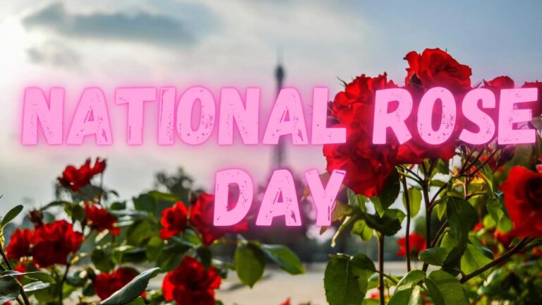 100+ National Rose Day 2025 Quotes, Wishes & Instagram Captions to Melt Hearts